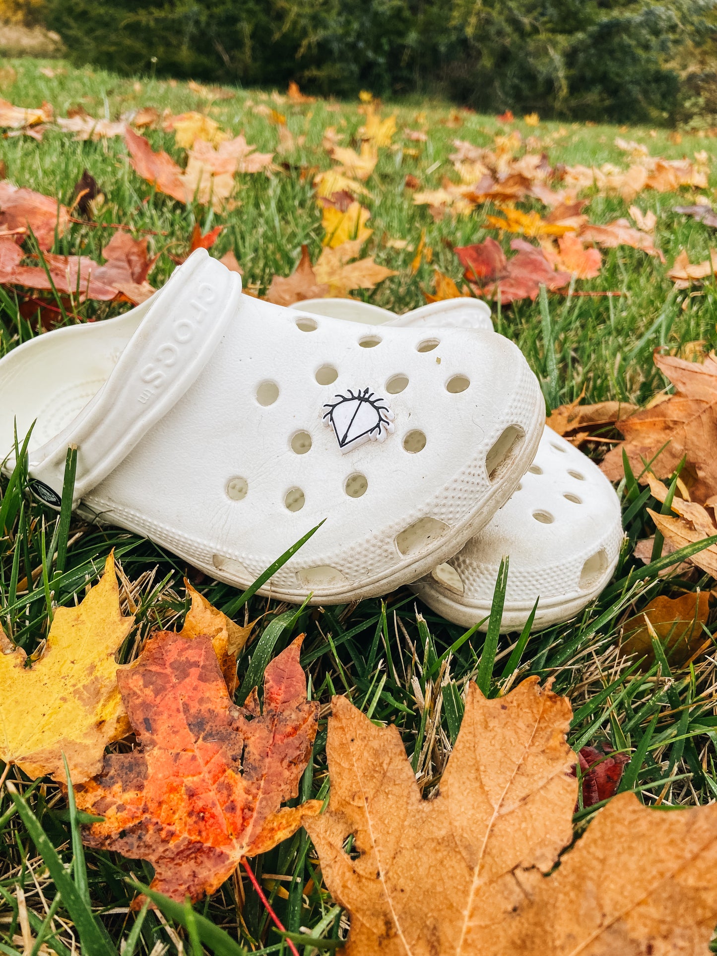 CROC POP